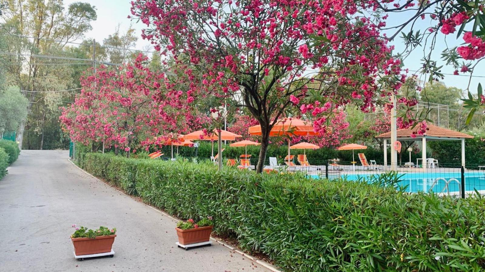 Viola Club Village & Camping Foce Varano Bagian luar foto