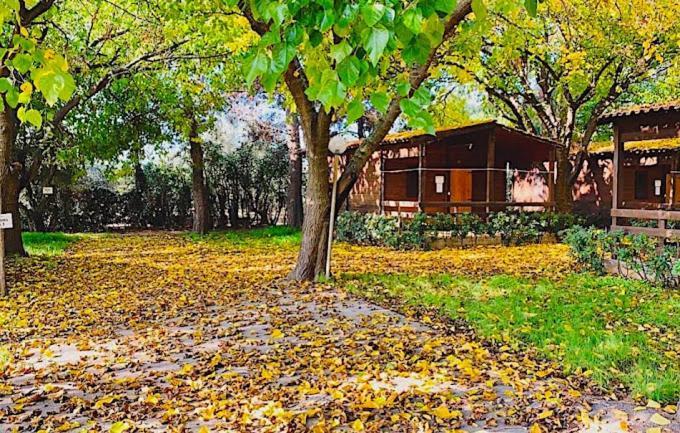 Viola Club Village & Camping Foce Varano Bagian luar foto