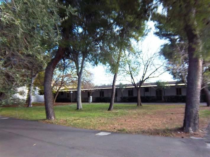 Viola Club Village & Camping Foce Varano Bagian luar foto