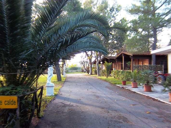 Viola Club Village & Camping Foce Varano Bagian luar foto